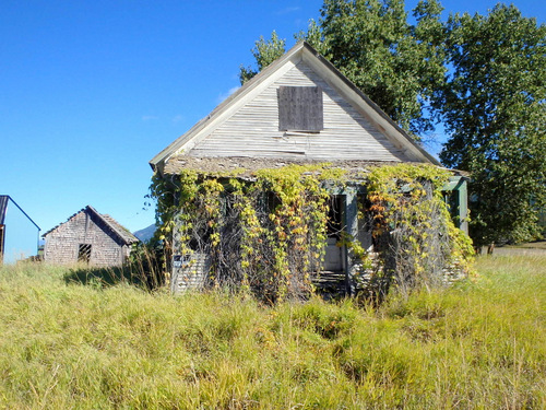 An old home slowly deteriorating from vegetation.